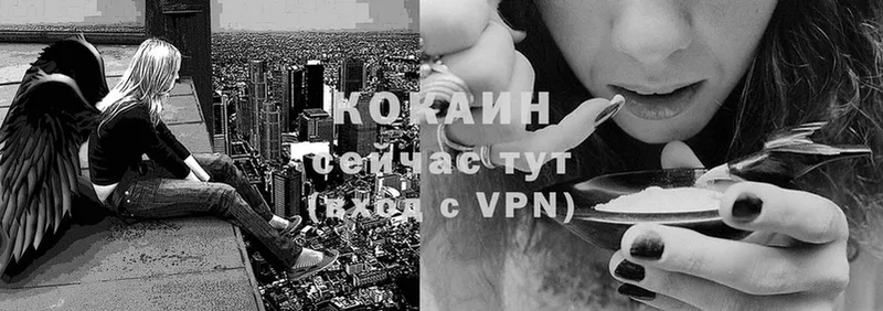 COCAIN Перу  Горбатов 